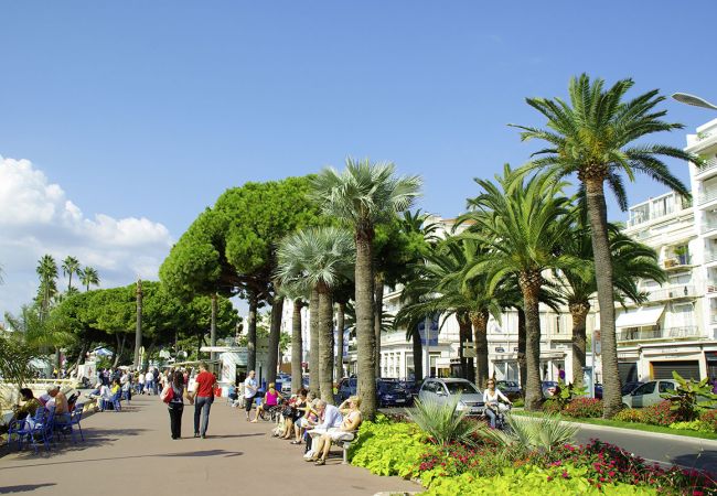 Frühlingserwachen an der Côte d'Azur